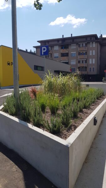 Giardino e Vivaio Vivai Rocco Vicenza Longare