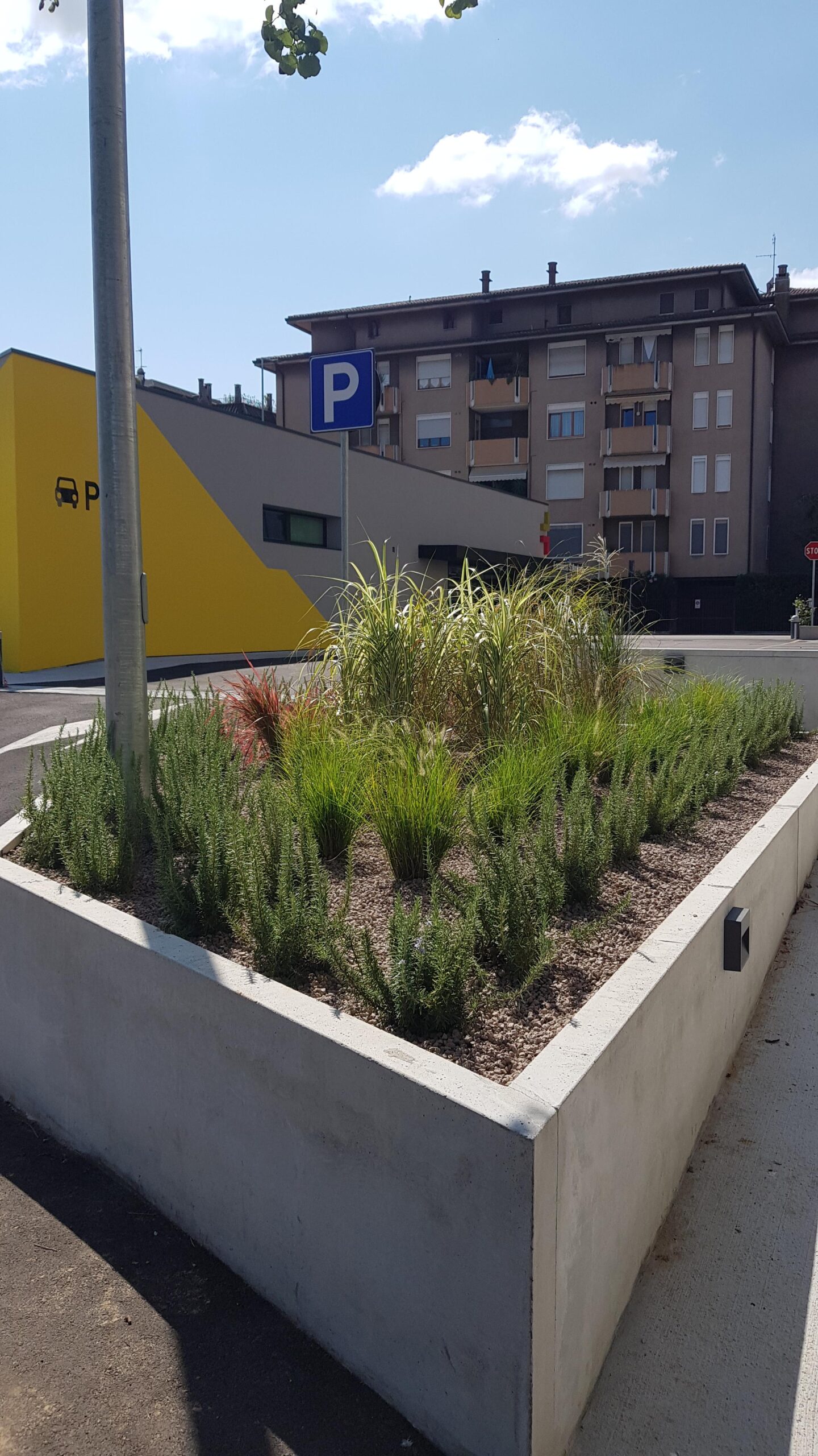 Giardino e Vivaio Vivai Rocco Vicenza Longare