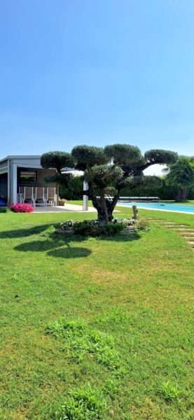 Giardino e vivaio Vivai Rocco Vicenza Longare