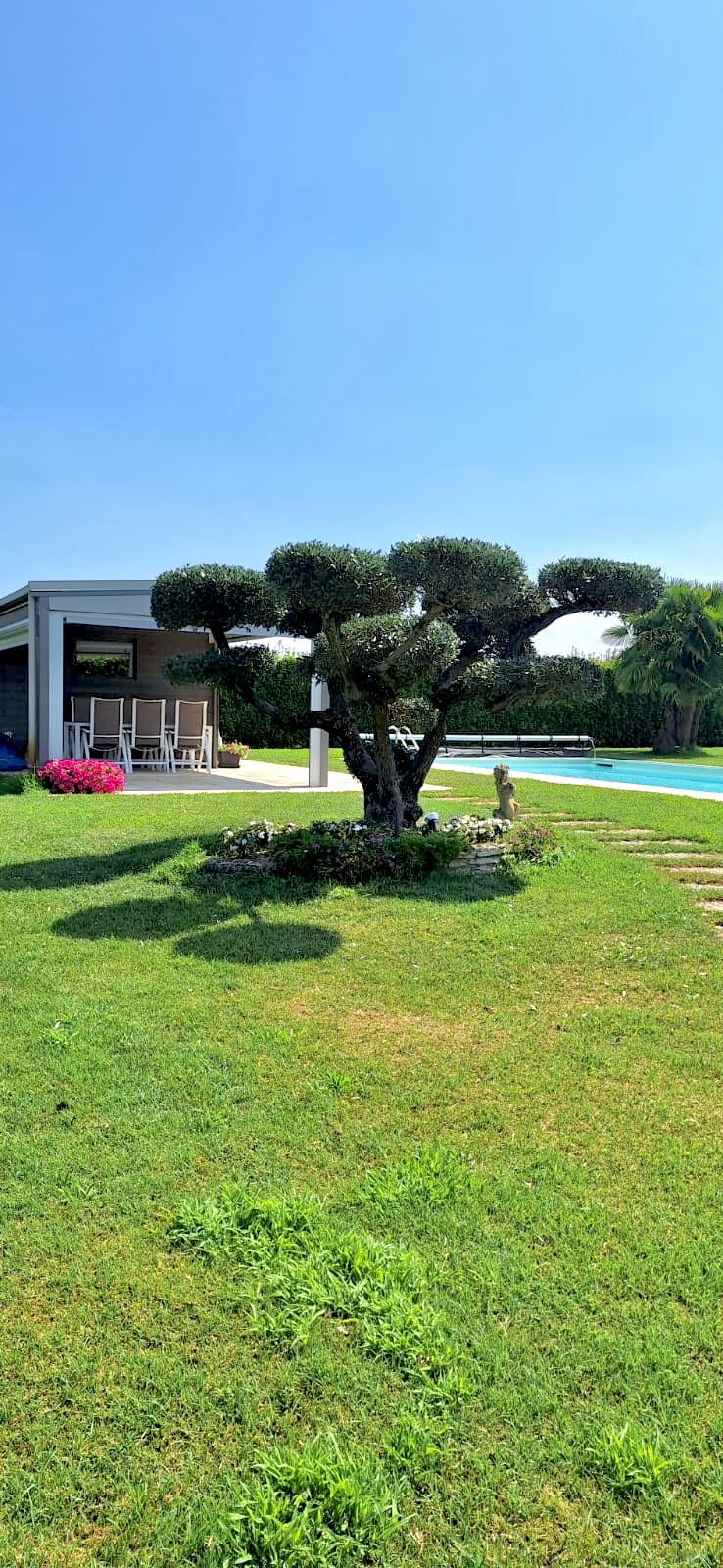 Giardino e vivaio Vivai Rocco Vicenza Longare