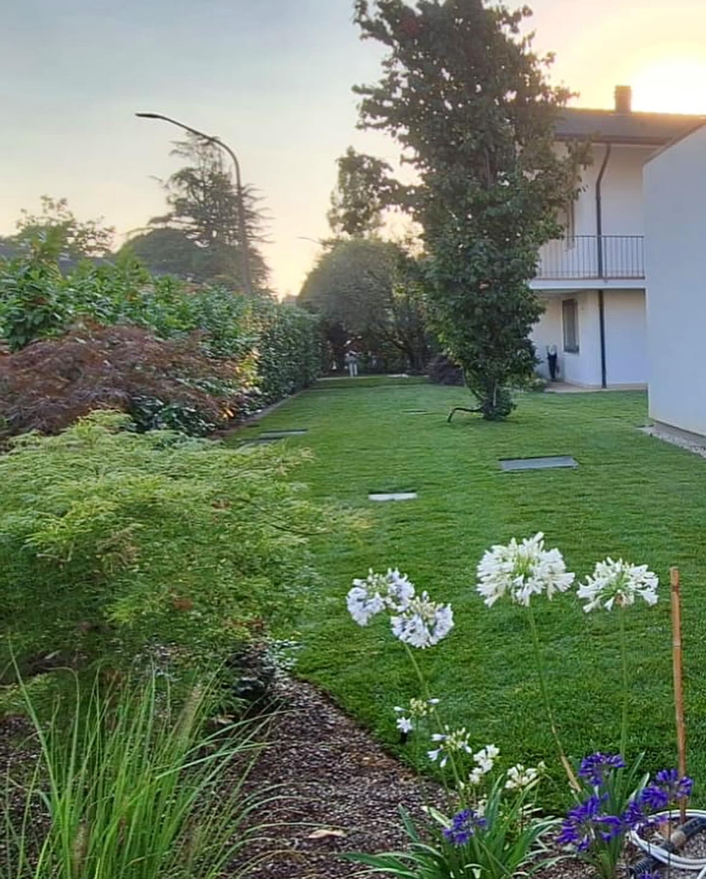 Giardino e vivaio Vivai Rocco Vicenza Longare